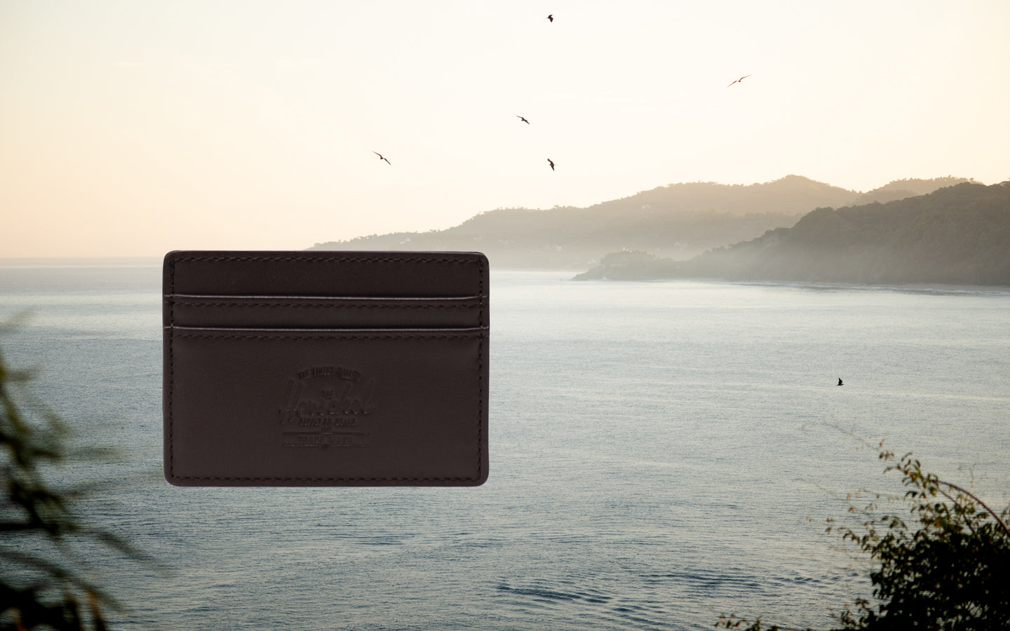 Herschel Supply Co. Charlie Cardholder Leather in brown, shown from a front angle on a clean desktop background.