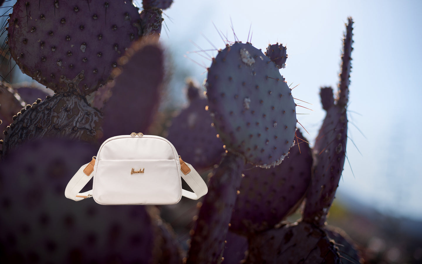 Herschel Supply Co. Thalia Crossbody bag in Moonbeam color shown from the front on a desktop view.