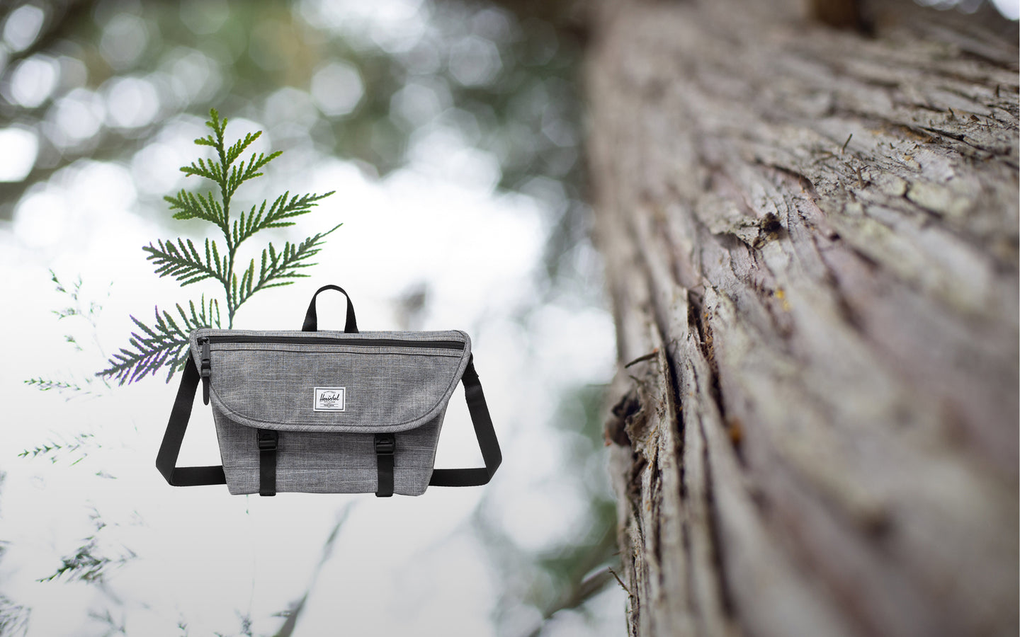Cove Messenger Small