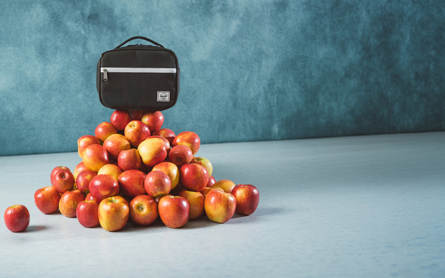 Pop Quiz Lunch Box