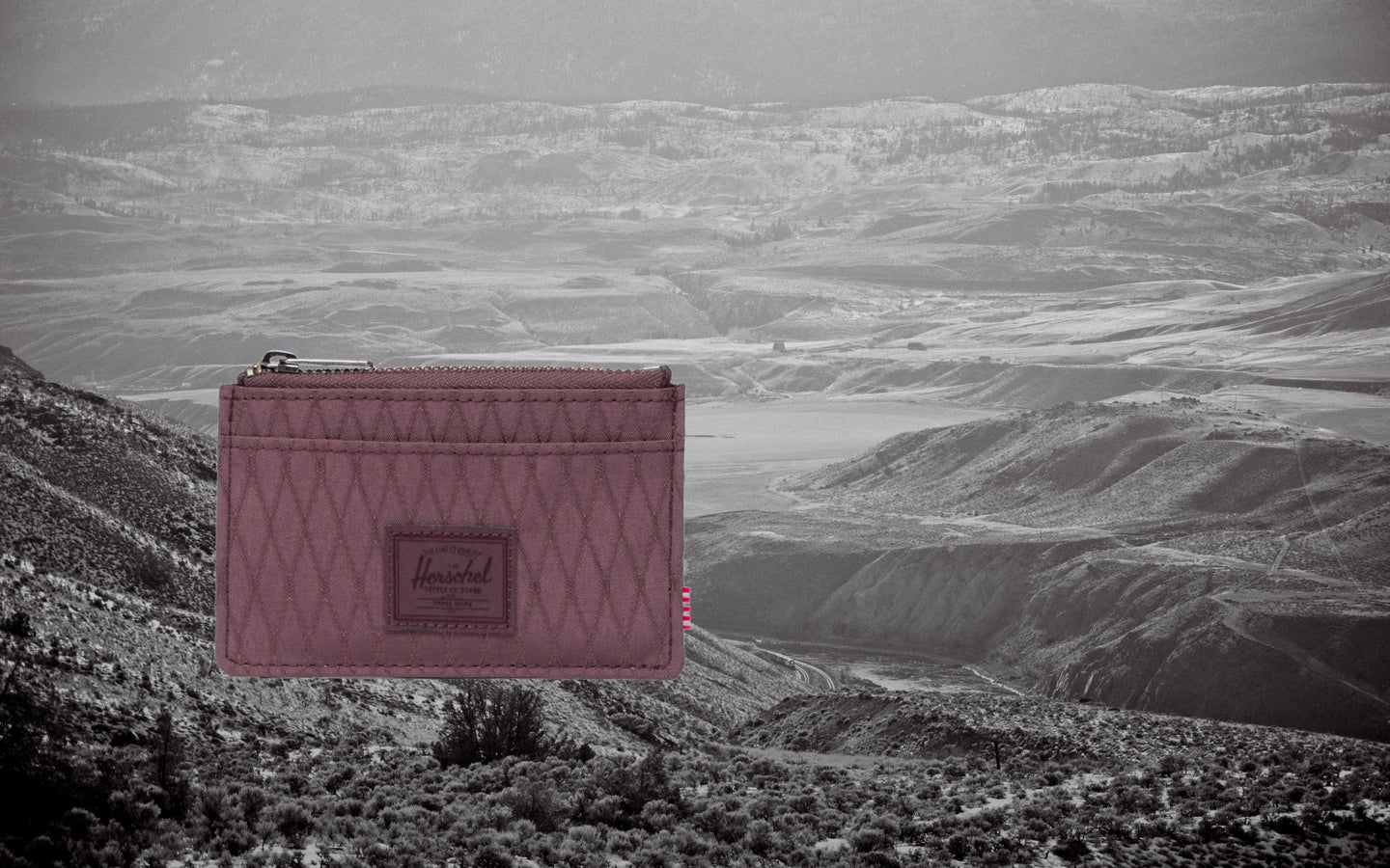 Herschel Supply Co. Oscar Cardholder in Huckleberry Diamond color displayed on a lifestyle background.