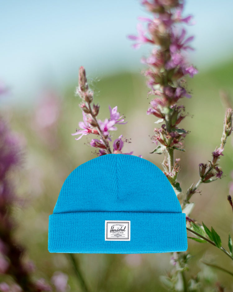 Herschel Supply Co. Elmer Baby Beanie in Hawaiian Surf, a bright blue knit beanie with a classic cuffed brim and a woven logo label on the front.