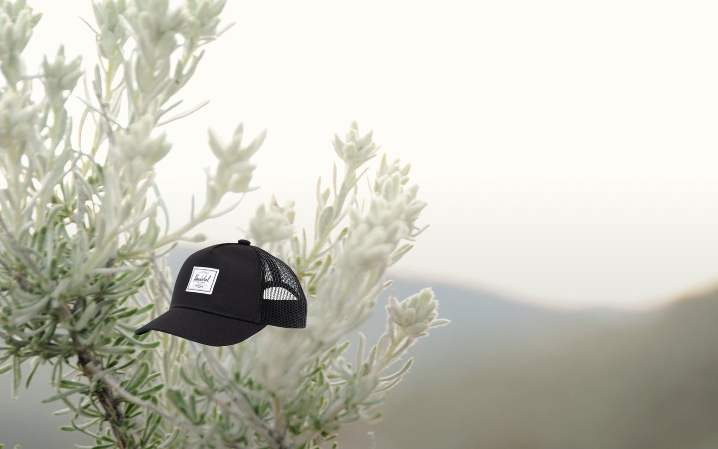 Whaler Cotton Mesh Toddler Cap 2-4 Years
