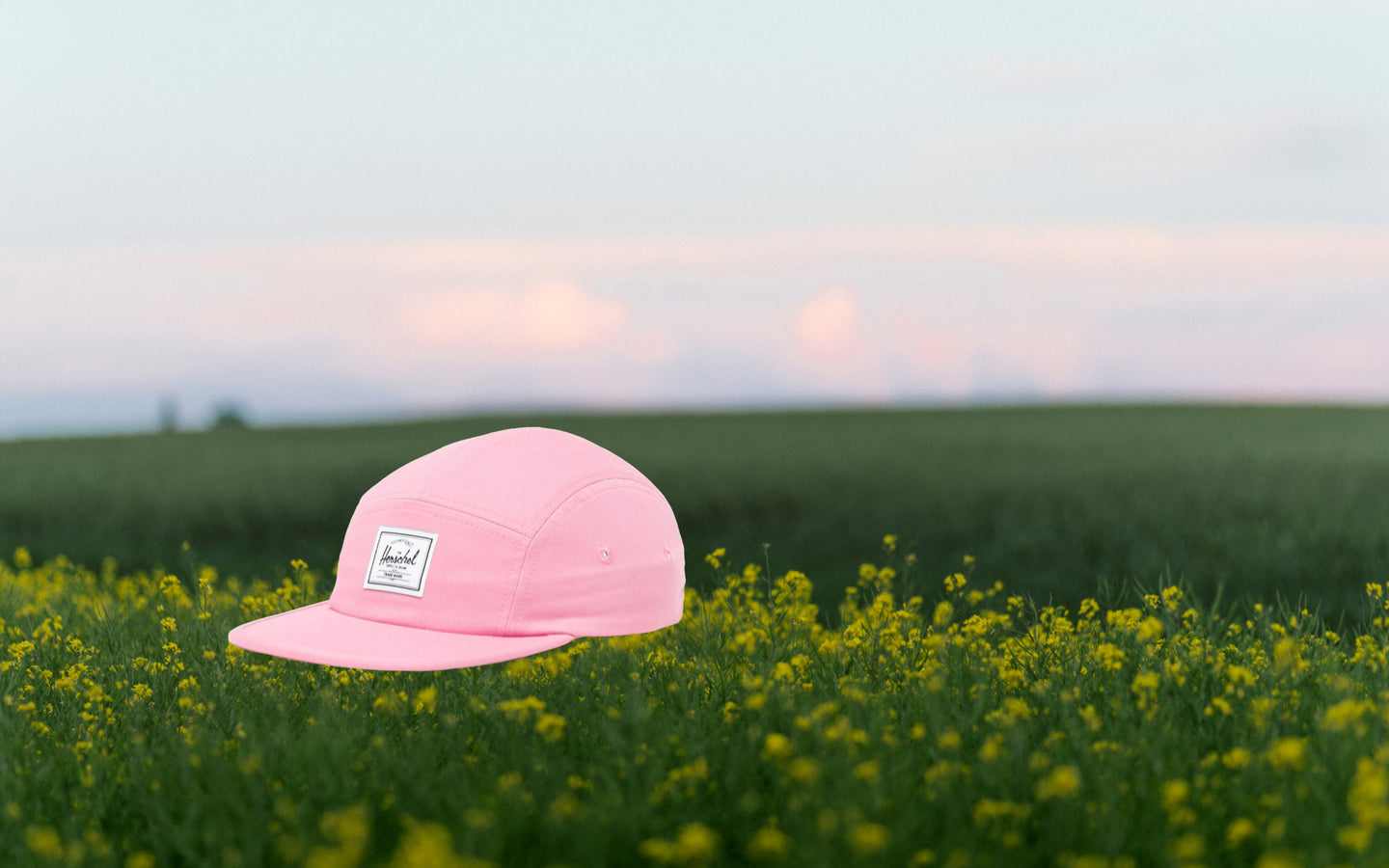 Herschel Supply Co. Glendale Kids Cap in Cashmere Rose, displayed on a clean background.