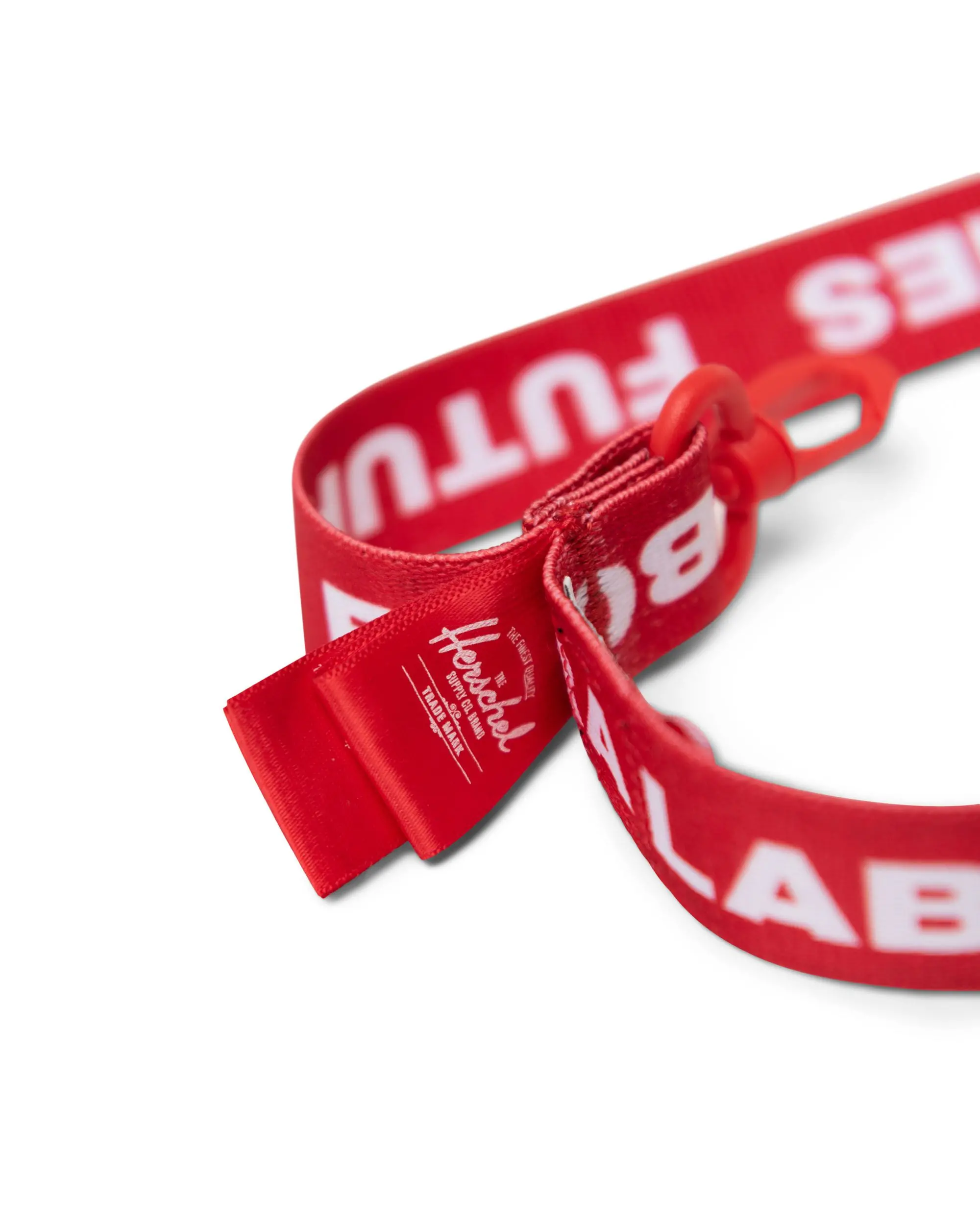 Lanyard