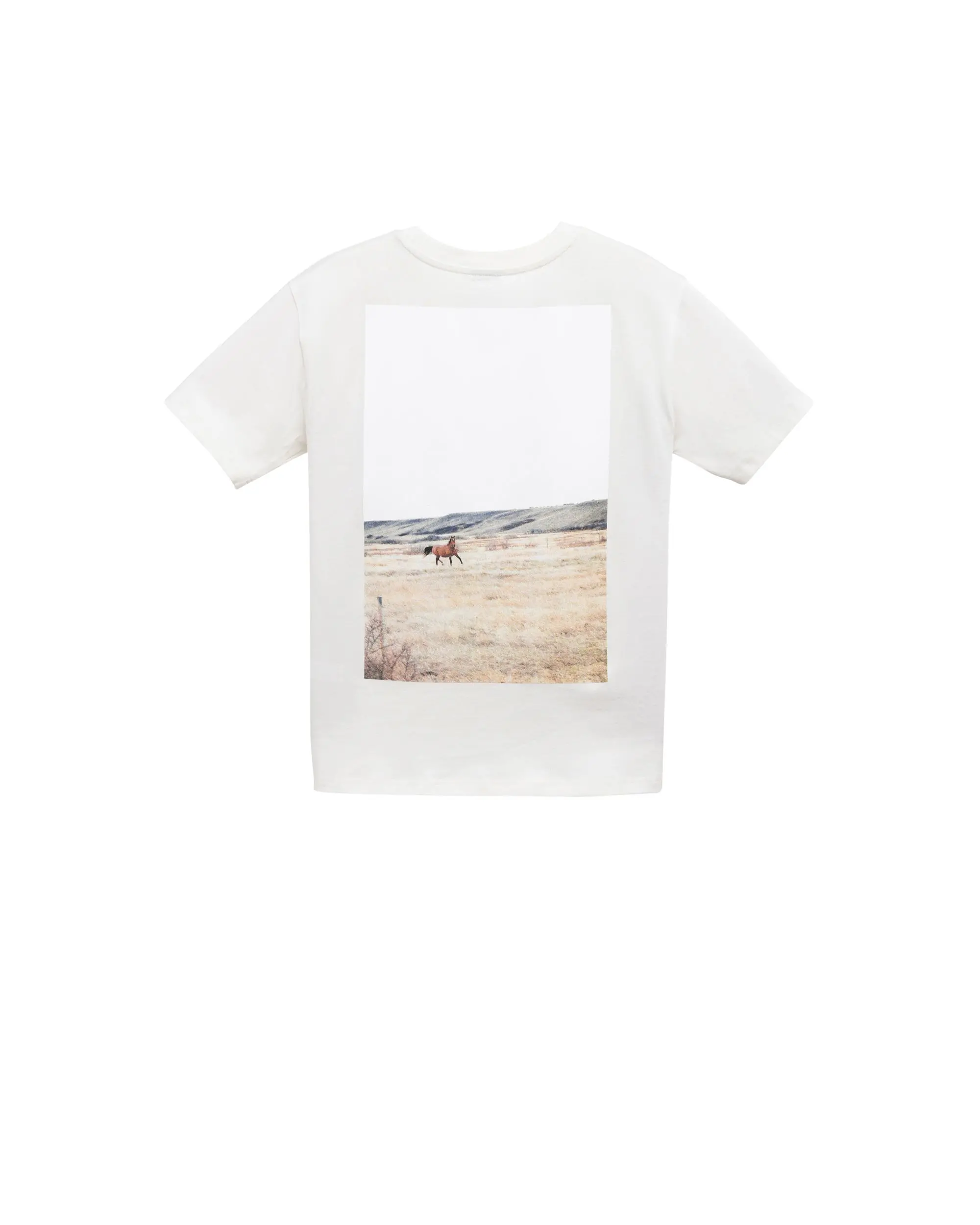 Photo Tee Women's